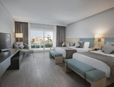 Deluxe Double or Twin Room with Garden View