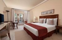 Family Queen or Twin Bed Garden View