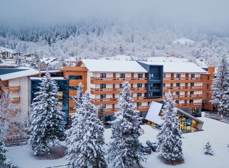 georgia/batum/bakuriani/bakuriani-inn_a9b44715.jpg