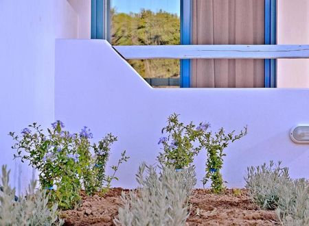 greece/evia-bolge/monilia/mastiha-villas_662359f1.jpg
