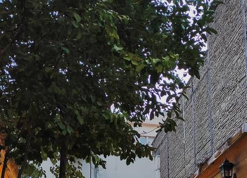 iran/tahran/tehran/heritage-hostel_3c6a5c3d.jpg