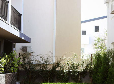 karadag/budva/prijevor/viola-hotel_f4be2150.jpg