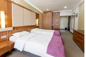kazakhstan/kazakistan/reikartzskyalmaty25876070.jpg