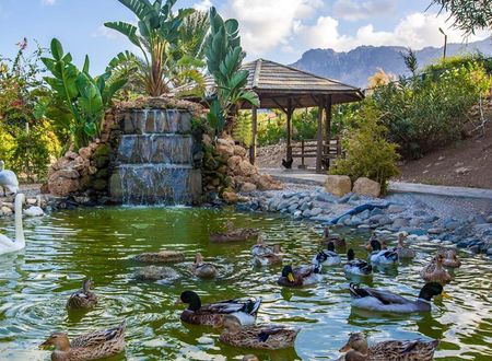 kibris/baf/girne/merit-crystal-cove-hotel-casino-spa_e12c1300.jpg
