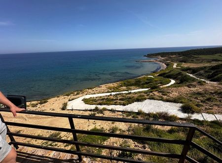 kibris/gazimagusa/dipkarpaz/tekos-golden-hill-hotel_73fc71f1.jpg