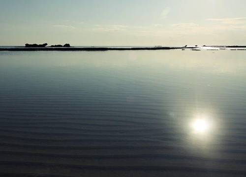 kibris/gazimagusa/gazimagusa/arkin-beach-palm-hotel_cefa0208.jpg
