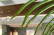 kibris/gazimagusa/gazimagusa/ekor-elegance-hotel_810ee7c0.jpg