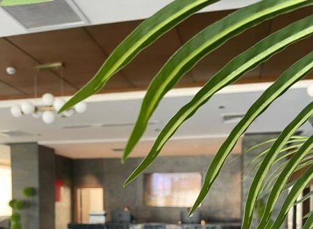 kibris/gazimagusa/gazimagusa/ekor-elegance-hotel_810ee7c0.jpg