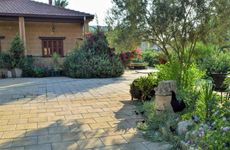 kibris/gazimagusa/gazimagusa/golden-palms-guest-house-cafe_0cec6441.jpg