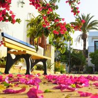 Golden Palms Guest House & Cafe