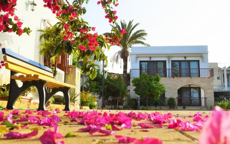 Golden Palms Guest House & Cafe · 1