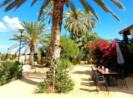 kibris/gazimagusa/gazimagusa/golden-palms-guest-house-cafe_aa6e6c61.jpg
