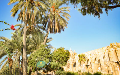 Golden Palms Guest House & Cafe · 3