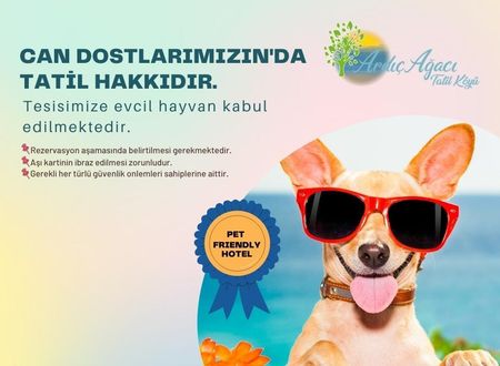 kibris/gazimagusa/tatlisu/ardic-agaci-holiday-village_f3b15dee.jpg