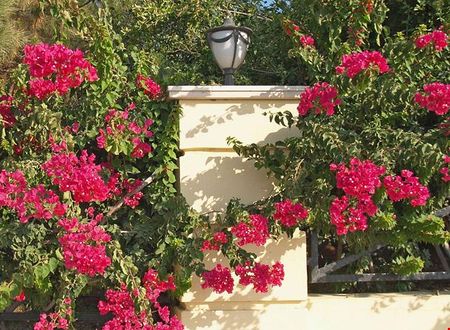 kibris/girne/beylerbeyi/bella-view-boutique-hotel_1d28b7b6.jpg