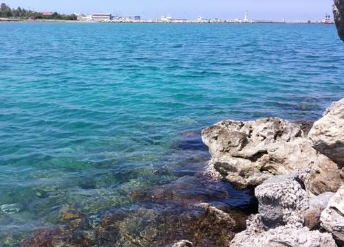 kibris/girne/karakum/oscar-resort-hotel_84b1b322.jpg
