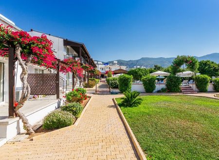 kibris/lefkosa/alsancak/citrus-tree-gardens_03a151ff.jpg