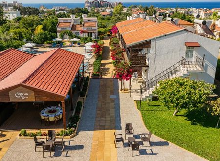 kibris/lefkosa/alsancak/citrus-tree-gardens_58acc445.jpg