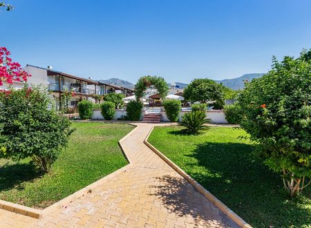 kibris/lefkosa/alsancak/citrus-tree-gardens_80874d81.jpg