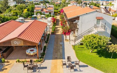 Citrus Tree Gardens · 2