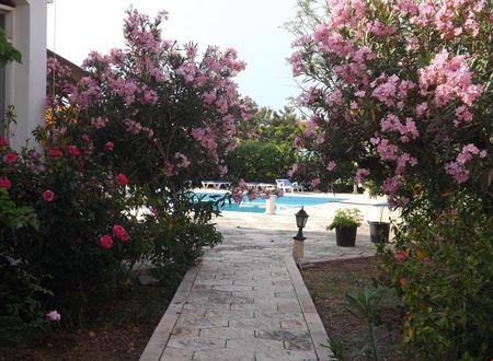 kibris/lefkosa/girne/paradise_659cee3b.jpg