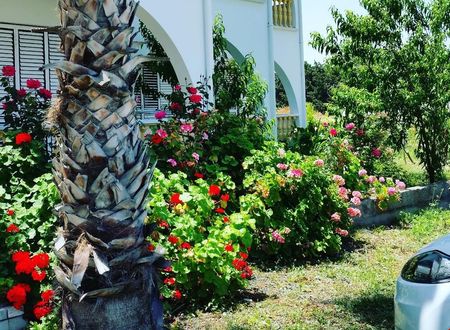 kibris/lefkosa/girne/paradise_cbb55c64.jpg