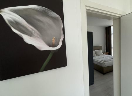 kibris/lefkosa/lefkosa/alya-rooms_497986fb.jpg