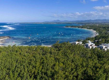 mauritius/palmar/palmar/c-mauritius-palmar_de08403e.jpg