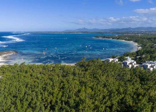 mauritius/palmar/palmar/c-mauritius-palmar_de08403e.jpg