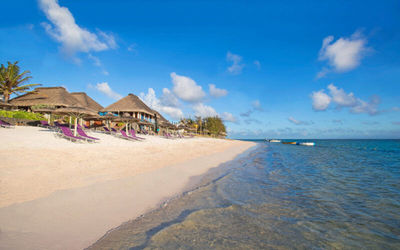 C-mauritius Palmar · 5