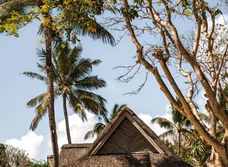 mauritius/poste-de-flacq/choisy-road-mu/constance-prince-maurice_f6265a0f.jpg
