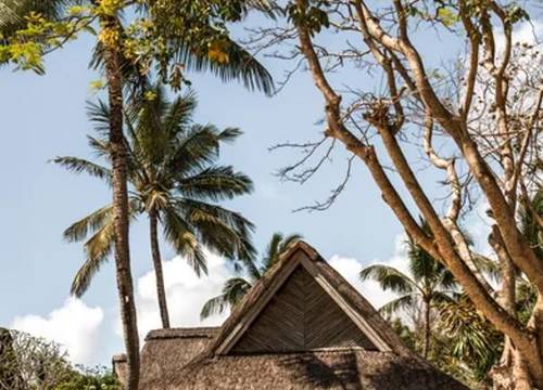 mauritius/poste-de-flacq/choisy-road-mu/constance-prince-maurice_f6265a0f.jpg