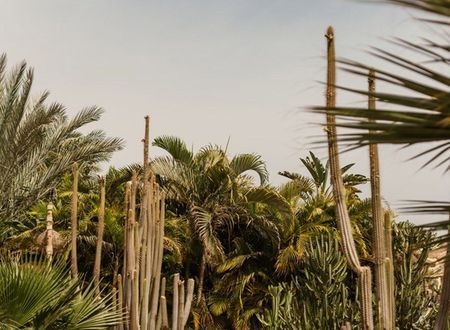 misir/asvan/abu-simbel/cooks-club-el-gouna_d49ff307.jpg