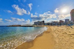 misir/asvan/abu-simbel/sunrise-alex-avenue-hotel_3d8e573c.jpg