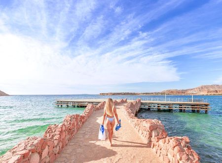 misir/guney-sina/sharm-el-sheikh/albatros-sharm-resort-sharm-el-sheikh_ee24f348.png