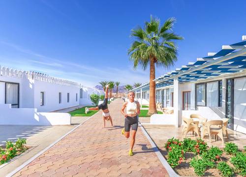misir/guney-sina/sharm-el-sheikh/albatros-sharm-resort-sharm-el-sheikh_ff1ec244.png