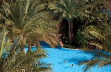 misir/guney-sina/sharm-el-sheikh/baron-palms-sharm-el-sheikh_6b40edd9.jpg