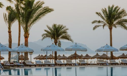 misir/guney-sina/sharm-el-sheikh/baron-resort-sharm-el-sheikh_fe4d598c.jpg