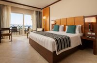 Double Superior Pool View Room