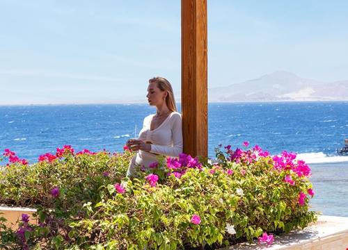 misir/guney-sina/sharm-el-sheikh/cleopatra-luxury-resort-sharm-el-sheikh_f9341b82.jpg