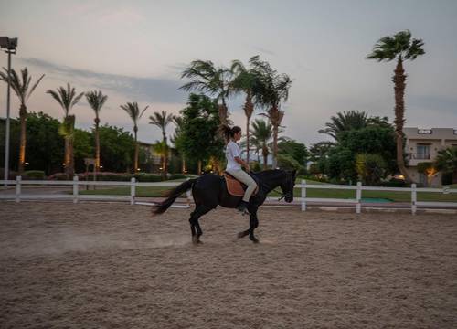 misir/guney-sina/sharm-el-sheikh/concorde-el-salam-front-hotel_65b27ba7.jpg