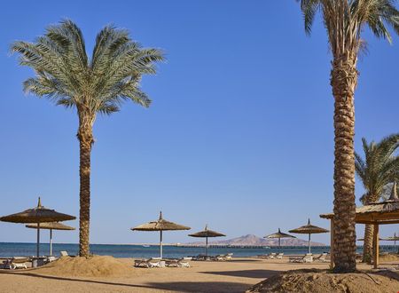 misir/guney-sina/sharm-el-sheikh/coral-sea-water-world_02029afa.jpg