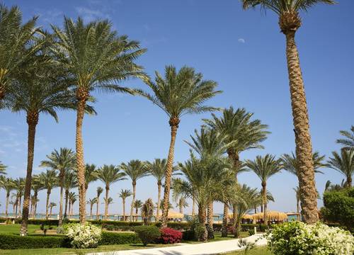 misir/guney-sina/sharm-el-sheikh/coral-sea-water-world_12b51f73.jpg