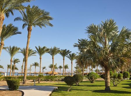 misir/guney-sina/sharm-el-sheikh/coral-sea-water-world_8e96c320.jpg