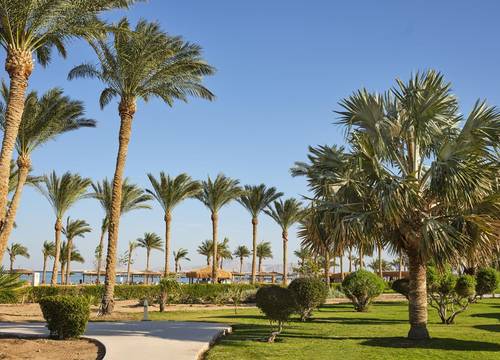 misir/guney-sina/sharm-el-sheikh/coral-sea-water-world_8e96c320.jpg