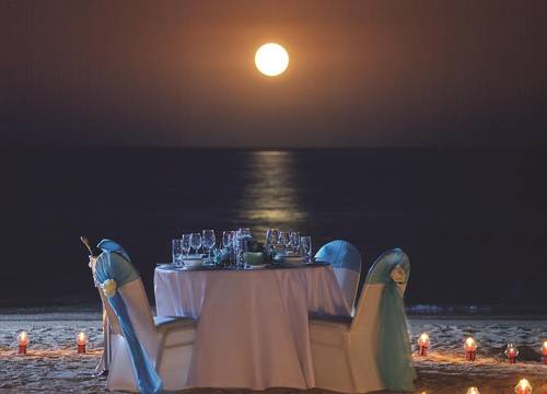 misir/guney-sina/sharm-el-sheikh/coral-sea-water-world_e5bed7fd.jpg