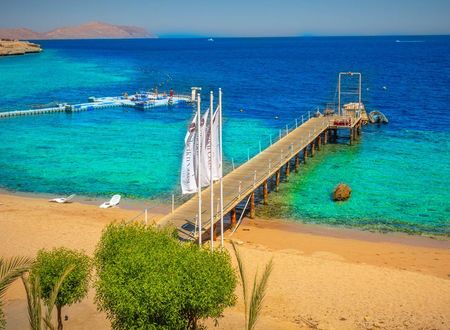 misir/guney-sina/sharm-el-sheikh/domina-coral-bay-resort-diving-spa-casino_55678a2d.jpg