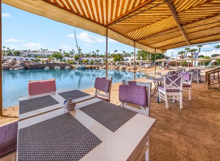 misir/guney-sina/sharm-el-sheikh/domina-coral-bay-resort-diving-spa-casino_7782b6a1.jpg