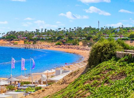 misir/guney-sina/sharm-el-sheikh/domina-coral-bay-resort-diving-spa-casino_d76c1fd4.jpg