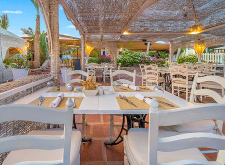 misir/guney-sina/sharm-el-sheikh/domina-coral-bay-resort-diving-spa-casino_d79e2e9d.jpg